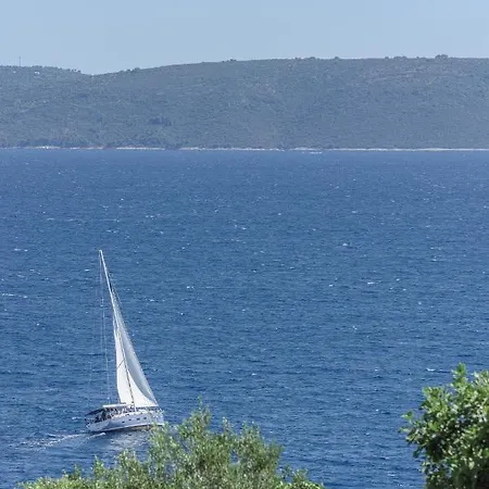 Luxury -heated Pool -jacuzzi Trogir